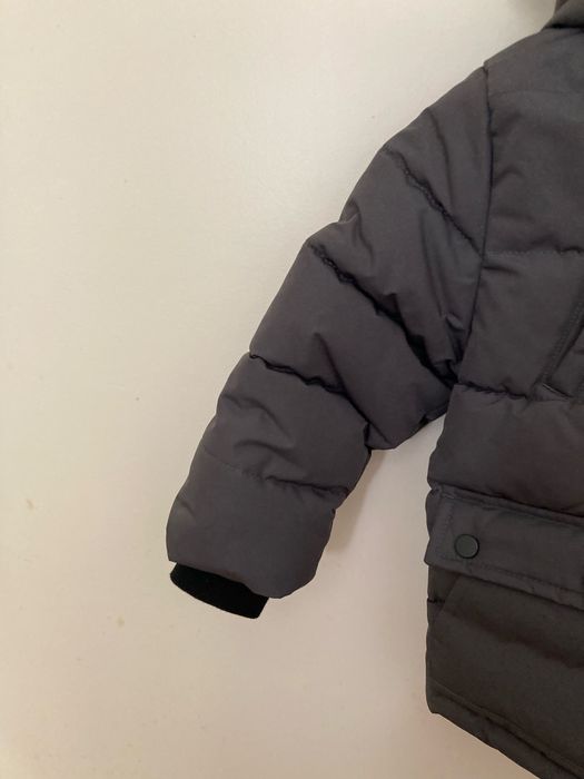 Quispe unix cinzento