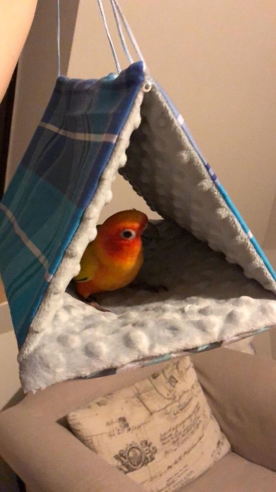 Namiot dla papug na wymiar różne rodzaje