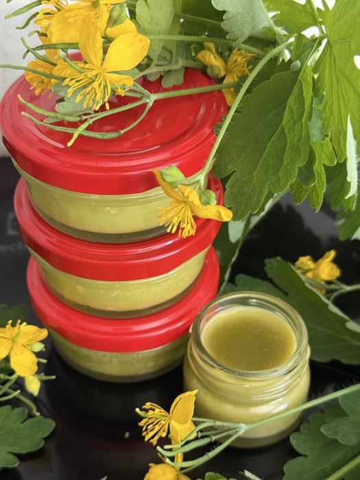 Maść jaskółcze ziele - glistnik 3 sztuki