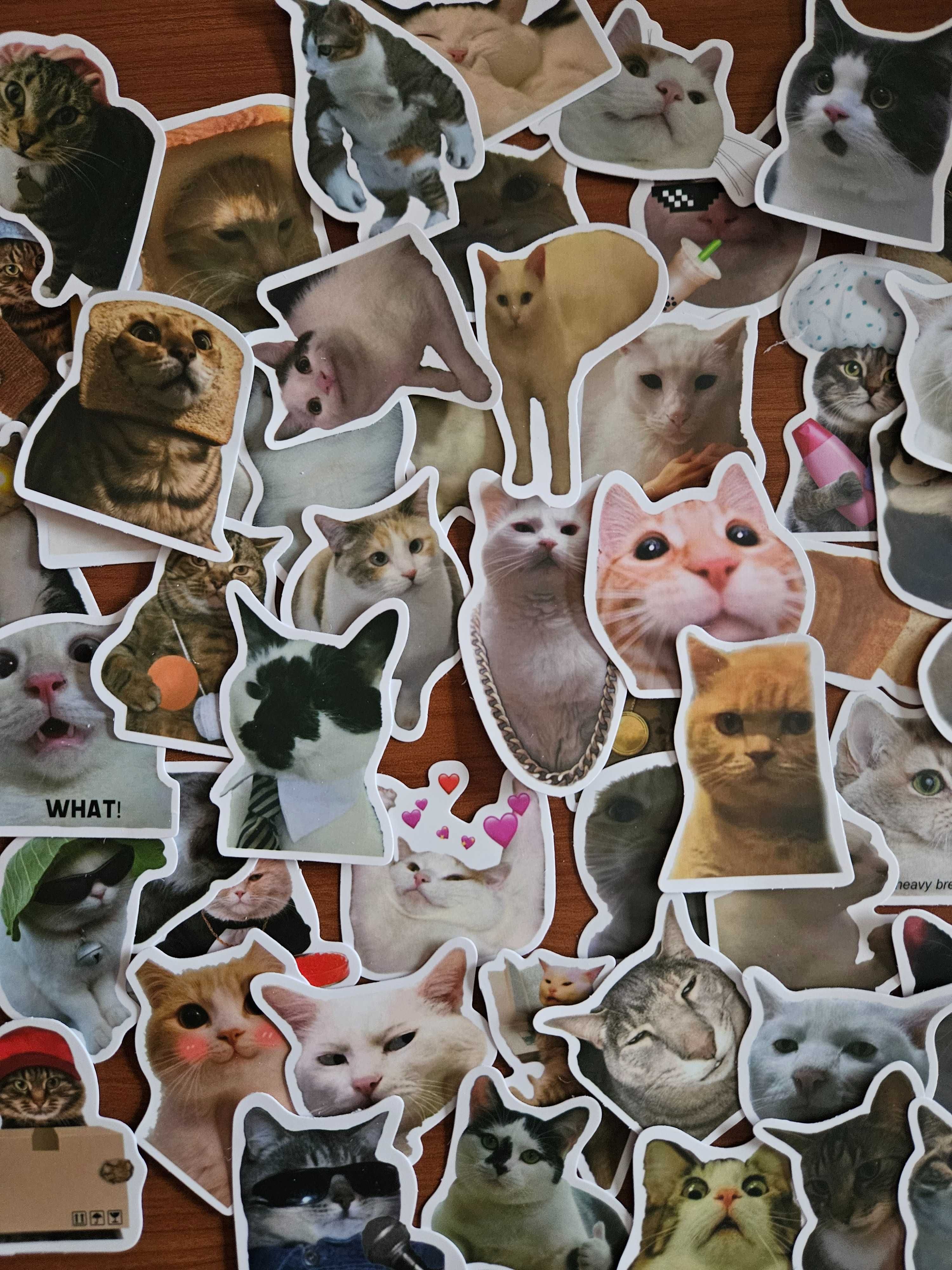 50 autocolantes stickers Gatos