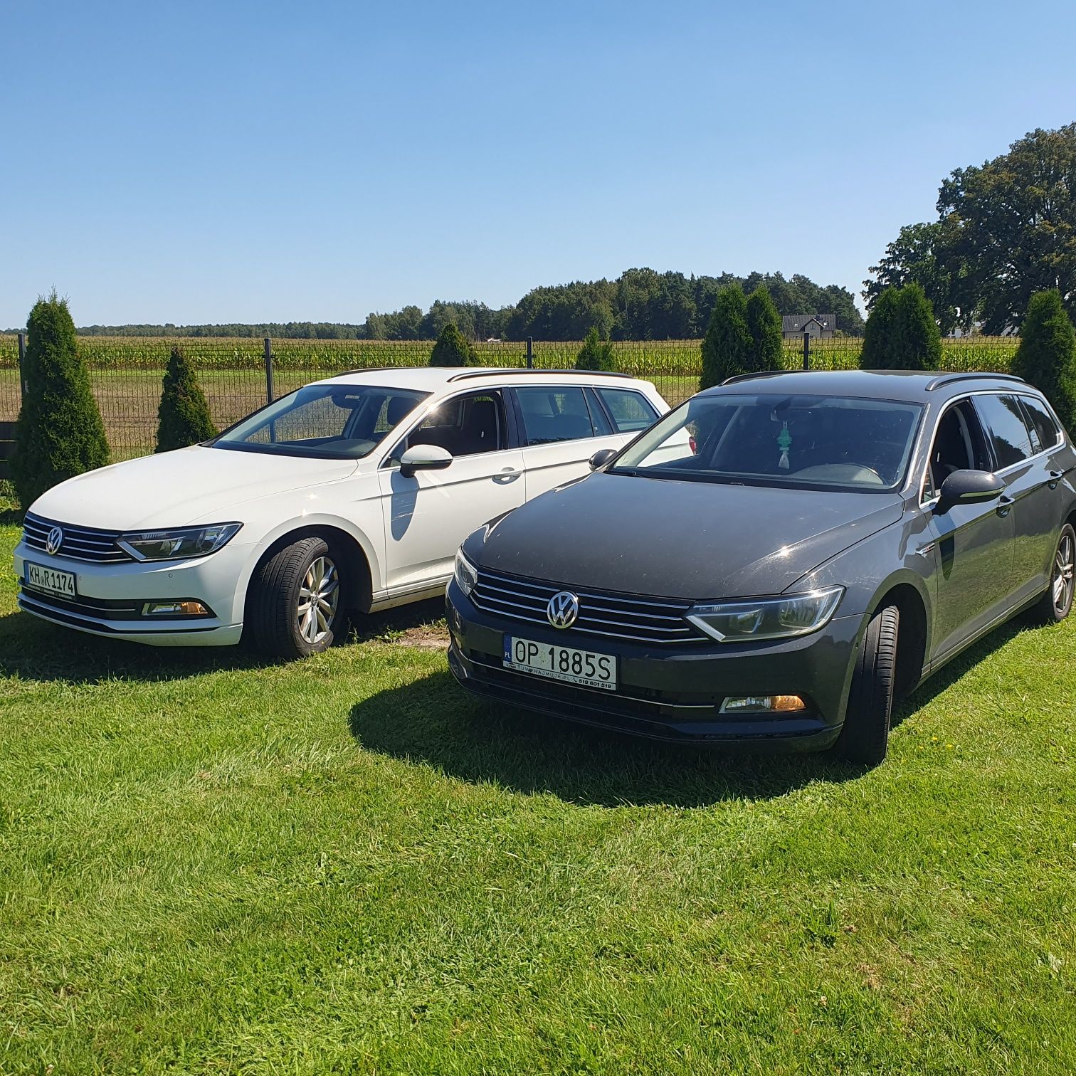 Wynajmem Samochodów Osobowych/7 osobowe / Busy 9 osobowe
