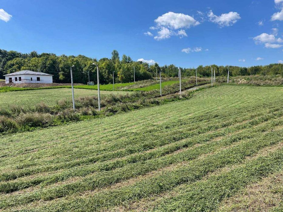 Продаж земельної ділянки в Ружичному