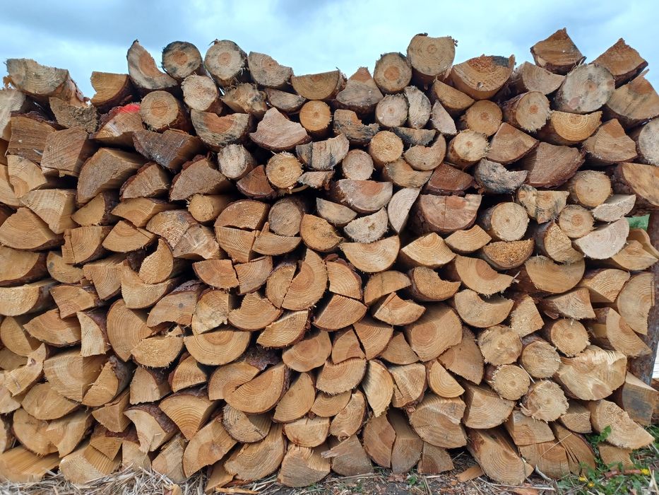 Drewno opałowe drzewo kominkowe transport buk dąb sosna olcha Brzoza
