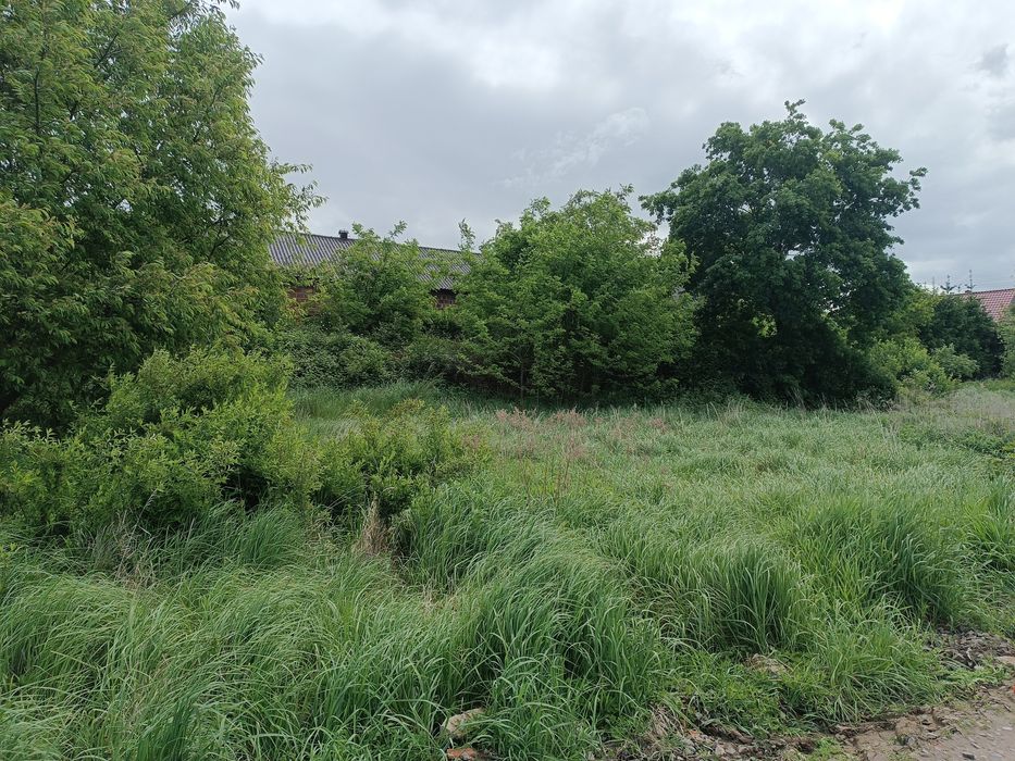 Mulczer leśny wgłebny wycinka drzew karczowanie czyszczenie działek mu