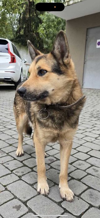 Хлопчик 3 роки. У добрі руки