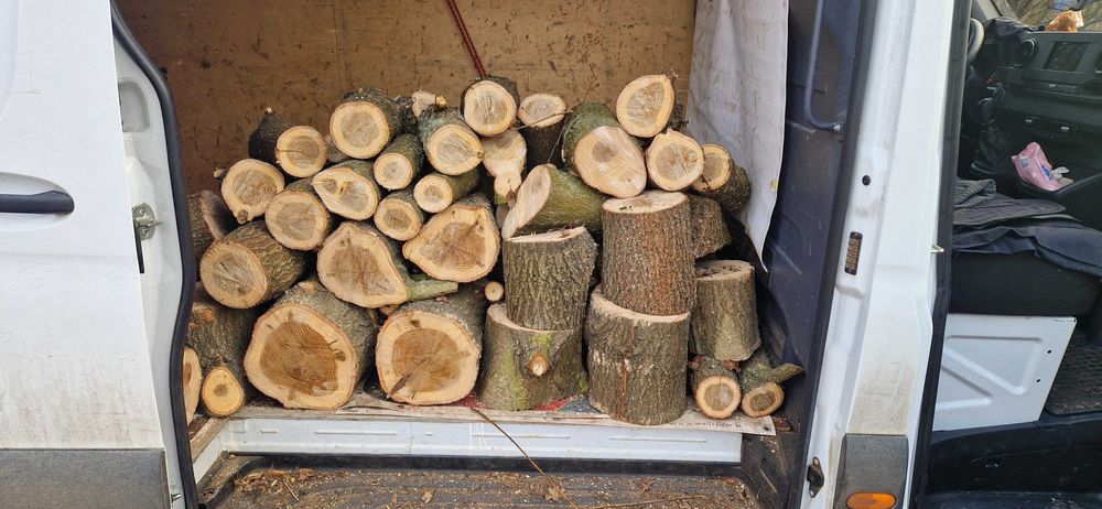 drewno dębowe dąb dębina AKACJA na opał wałki do kominka drzewo  KLON