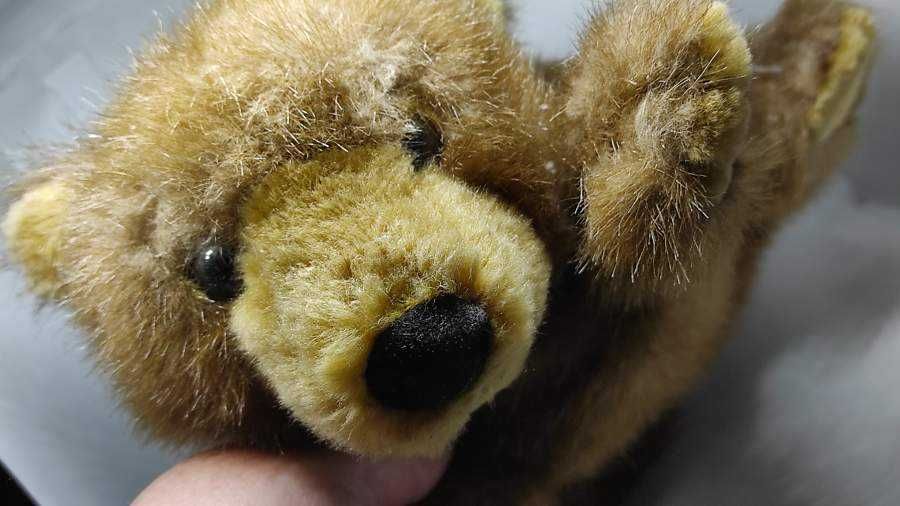 Urso de Peluche - Fofinho - Para oferecer Dias dos Namorados