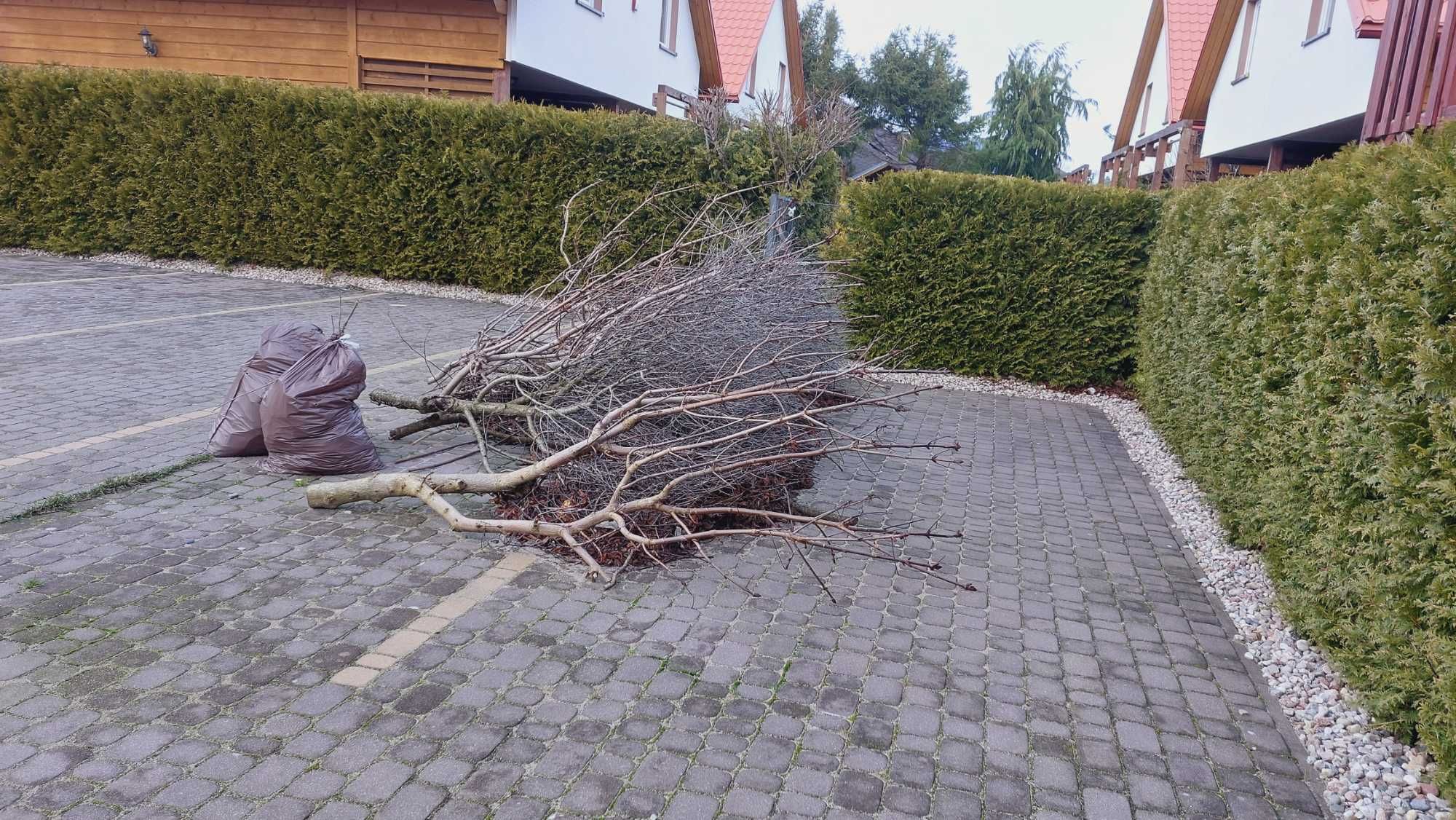 Drewno na opał lekko przesuszone