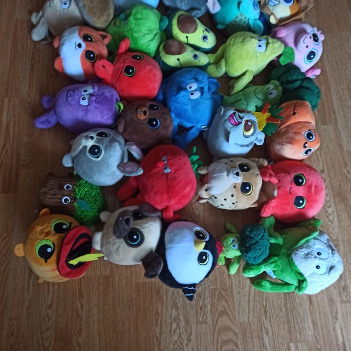 Świerzaki z biedronki