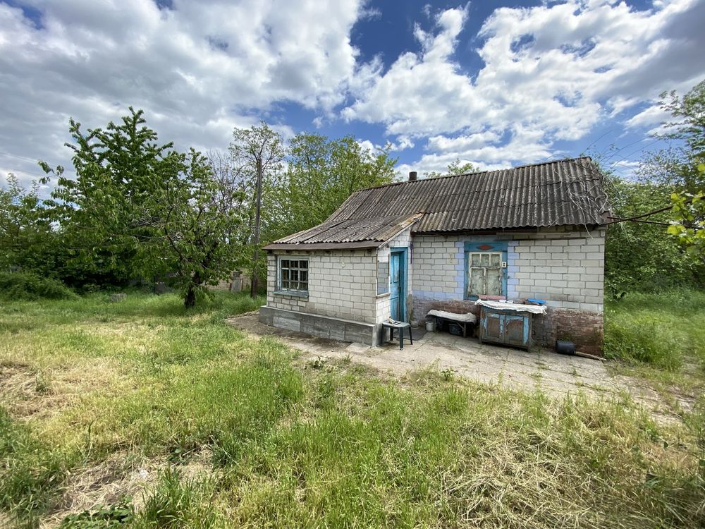 Будинок, земельна ділянка, капітальний гараж, дача. Дімітрова