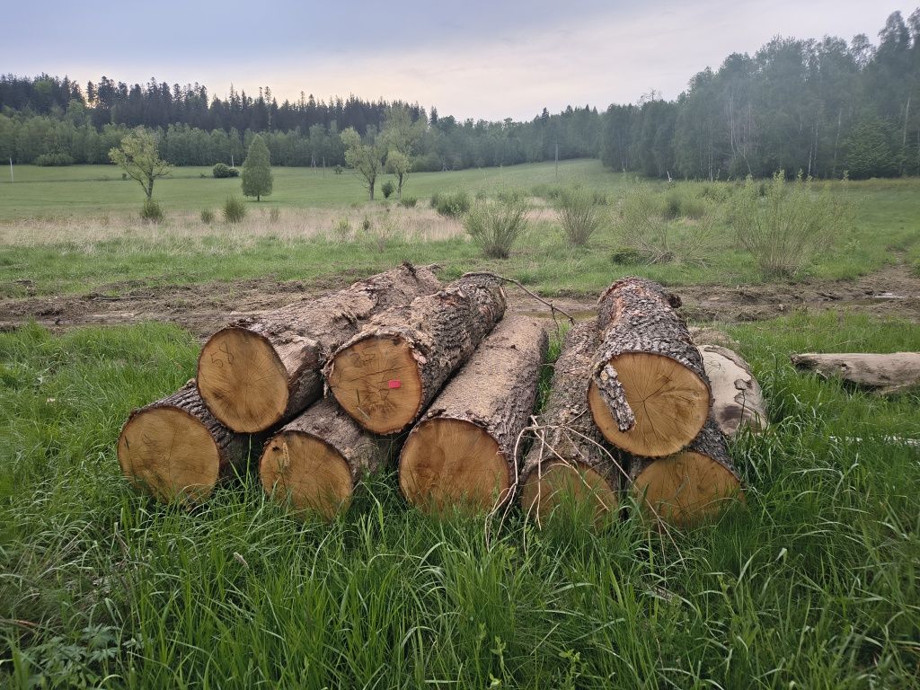 Drewno kominkowe opałowe Buk