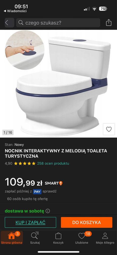 Nocnik interaktywny - toaleta turystyczna