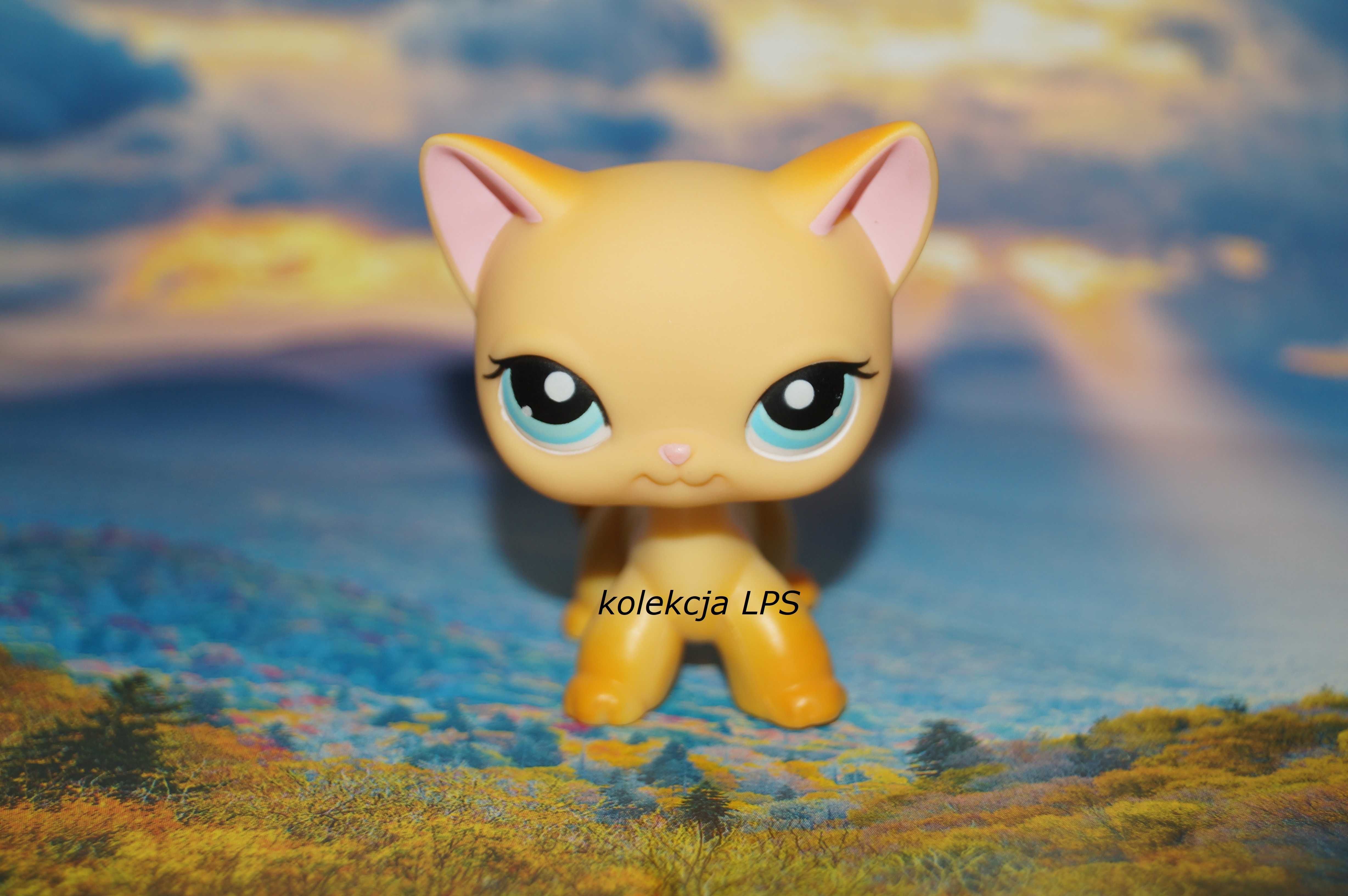 LPS Littlest Pet Shop shorthair #339 Brooklyn oryginalny UNIKAT POP