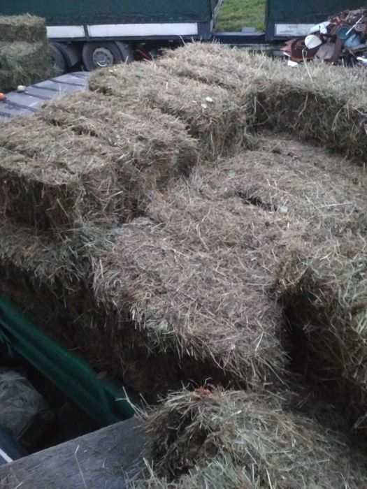 Сіно тюки городнє зелене домашнє 2025