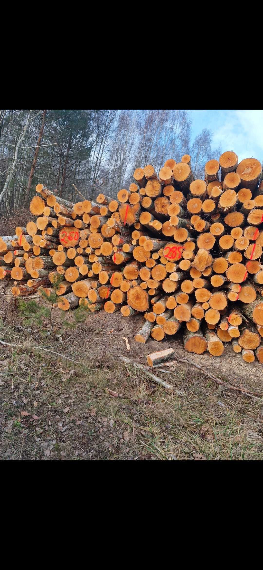 Drewno opałowe Kominkowe metry wałki do pieca