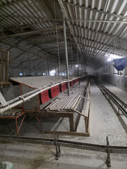Здам в оренду птахоферму Закарпаття 5000 м² з обладнанням