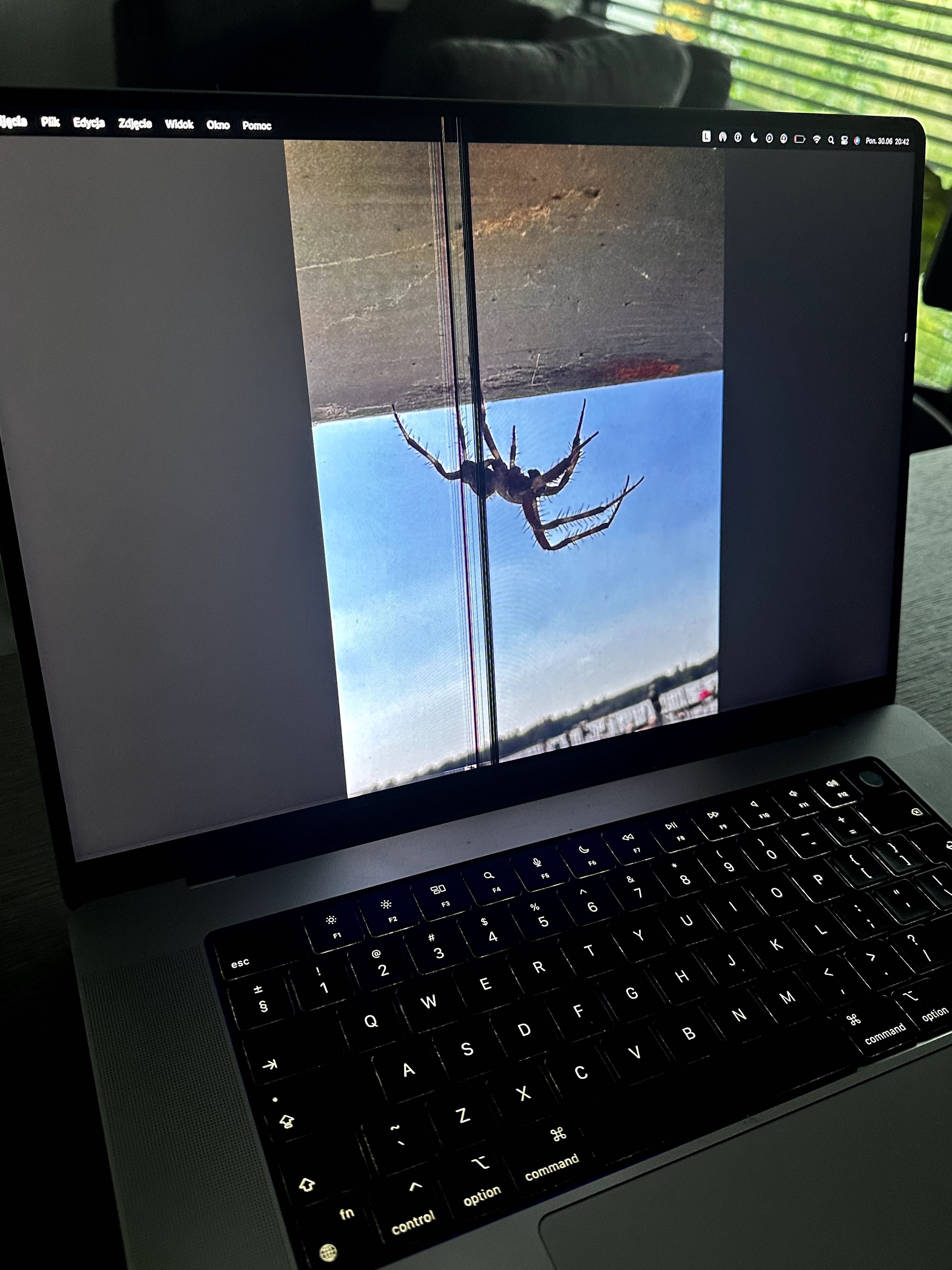 MacBook Pro 16" (2021) M1 Max 32 GB RAM topowy model