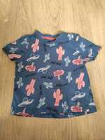 Koszulka T-shirt Lupilu 86/92 lato kaktusy chłopiec