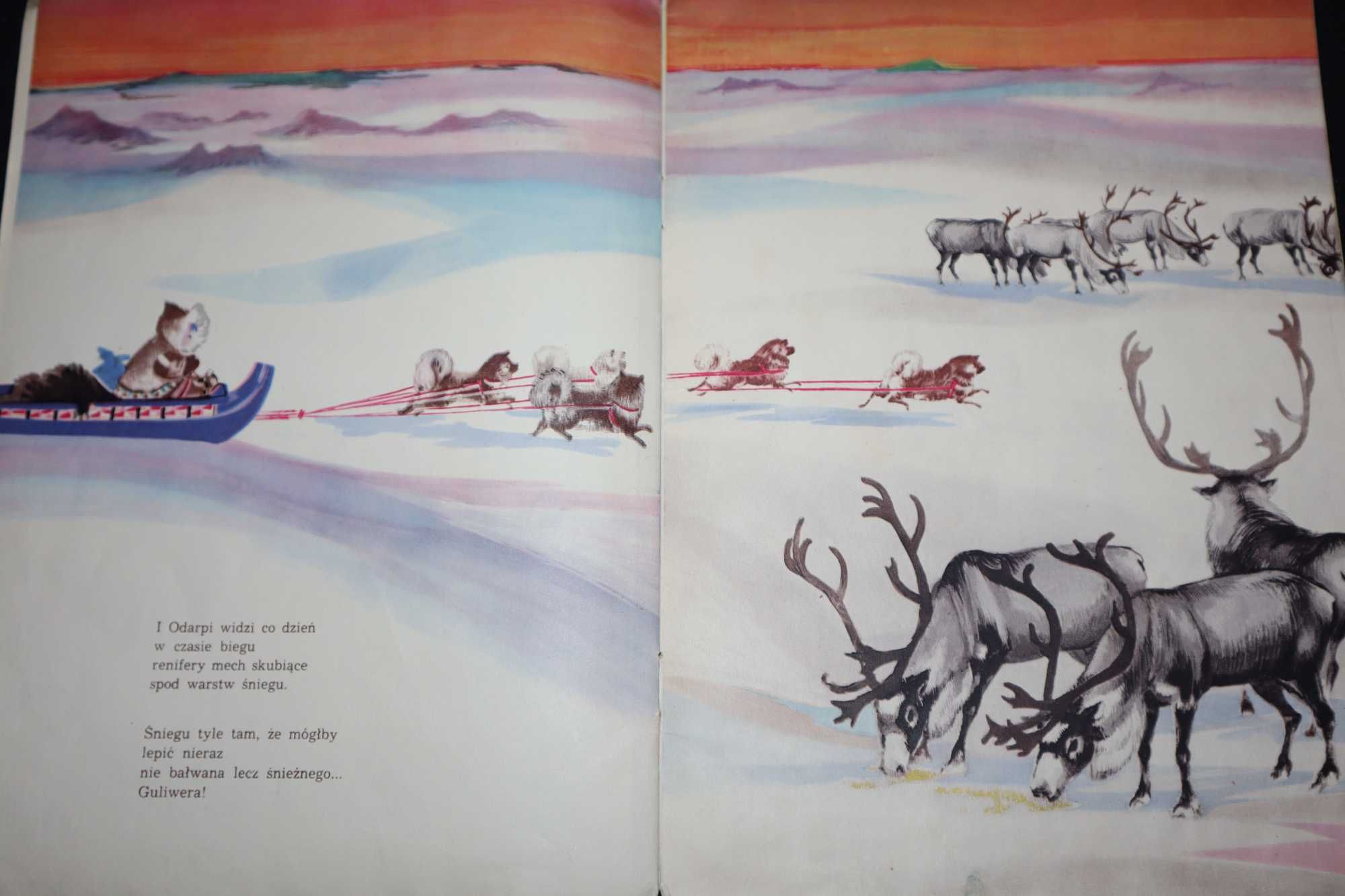 ODARPI Halina Szayerowa ilustracje  Janecka 1961 wydanie 1 L