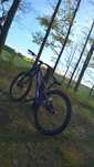Dirt MARIN Alcatraz 2