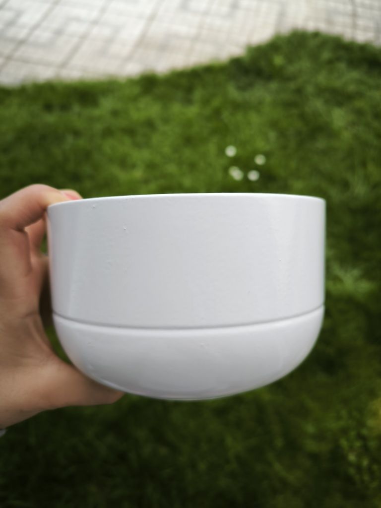 Vasos de plantas variados