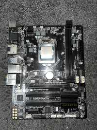 plyta glowna Gigabyte GA-H81M-HD3 + procesor Intel Xeon E3 1220v3