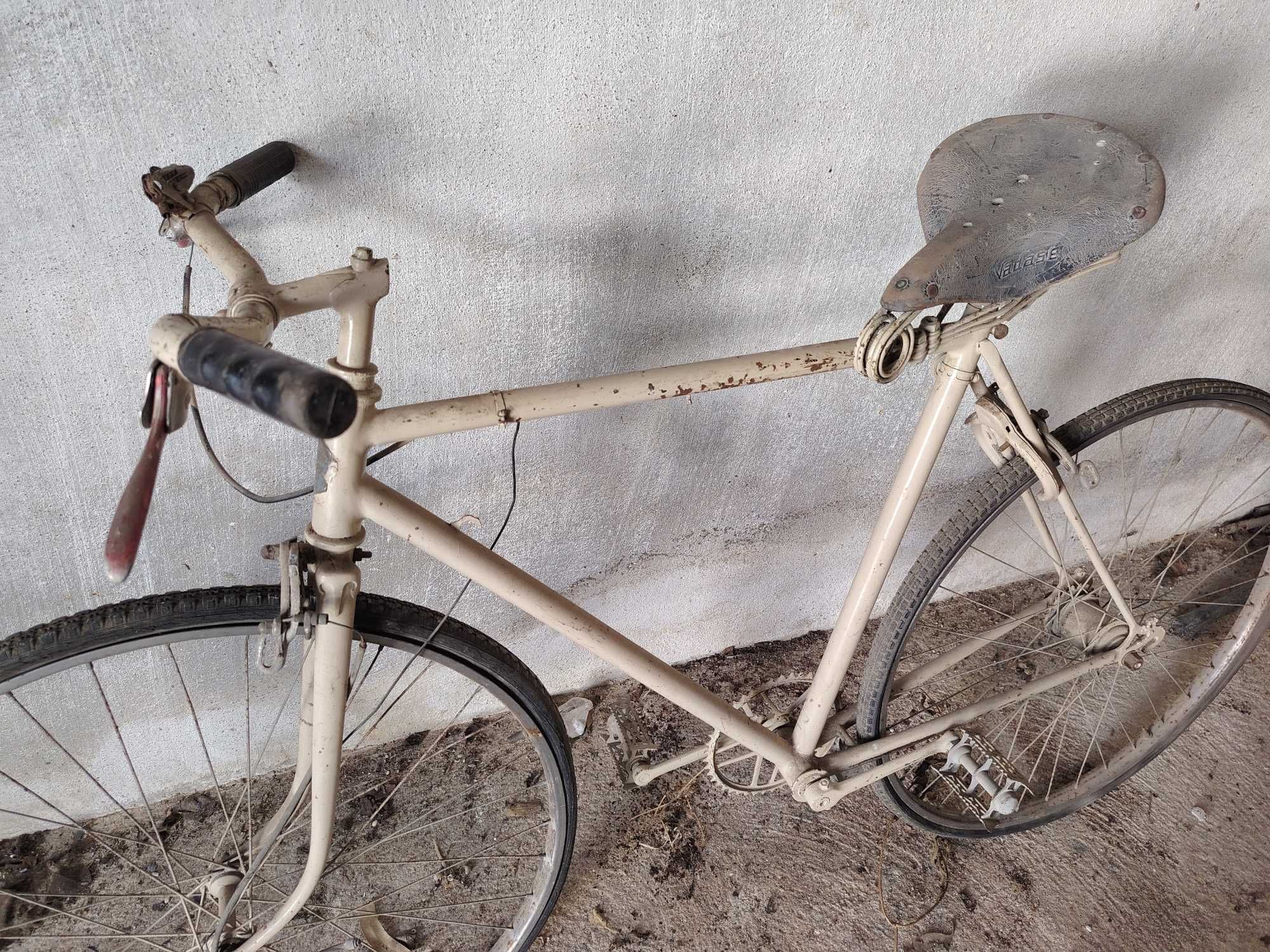 Bicicleta Pasteleira