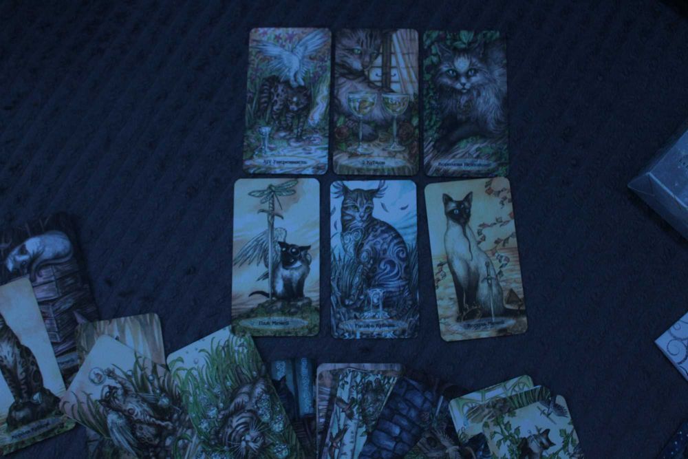 колода карт таро "душевні коти" | Soul Cats Tarot