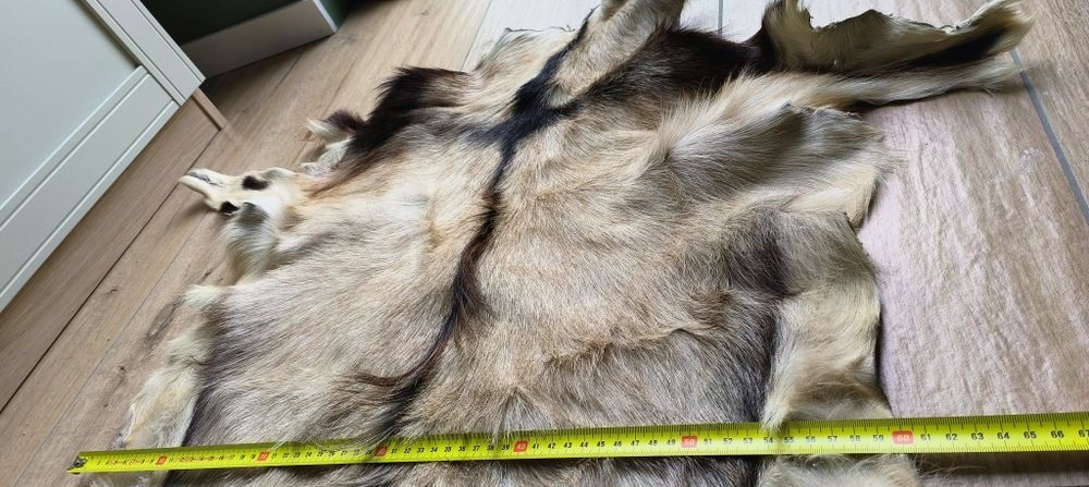 Piękna skóra kozia