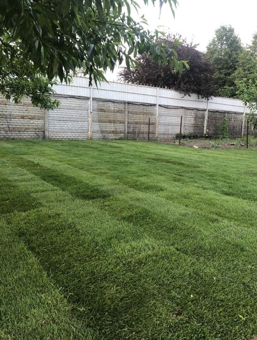 Рулонний/Посевной газон под ключ