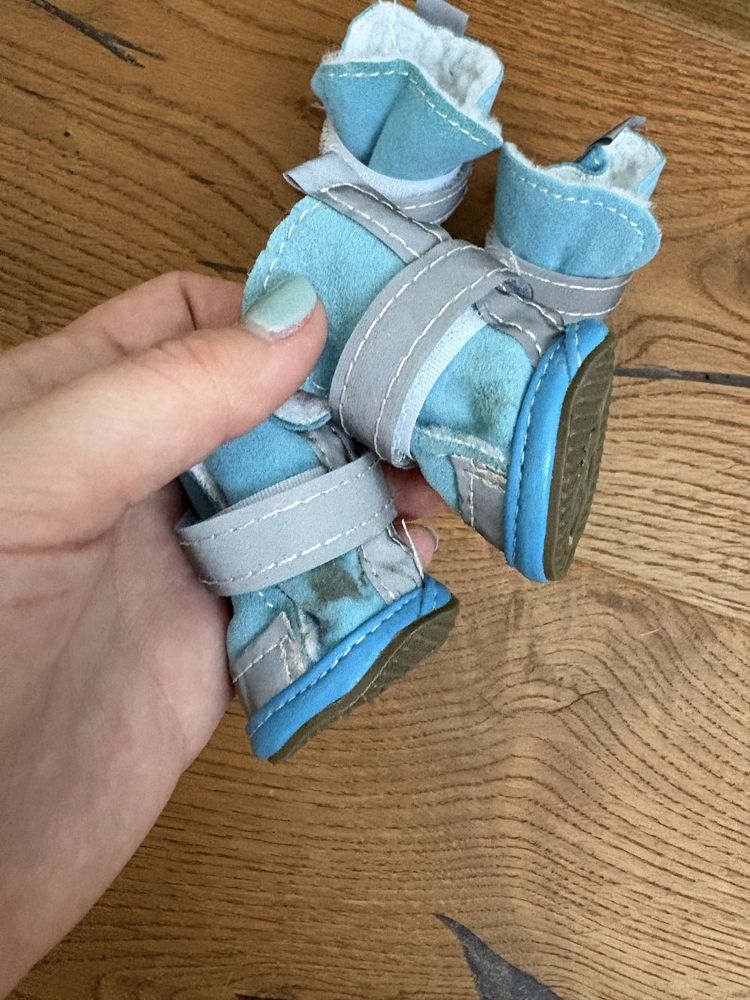 Buty zimowe dla psa