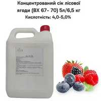 Концентрированный сок лесной ягоды (65-67 ВХ) канистра 5л/6,5 кг