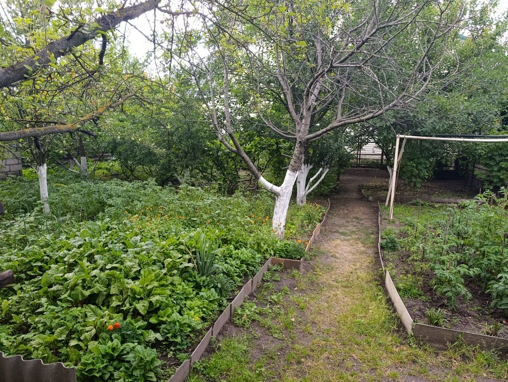 Продам дом Черёмушки Цылковского