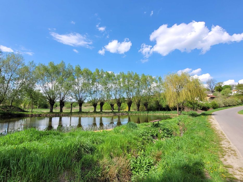Земельна ділянка 18 сот в Колодіївці під будівництво