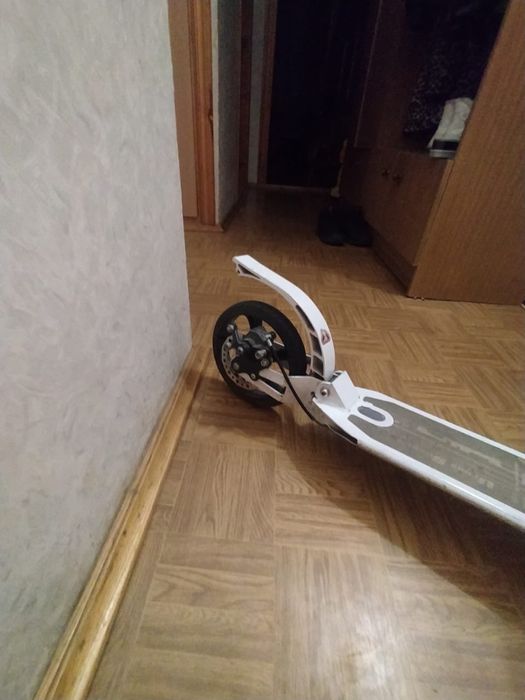 Самокат звичайний.