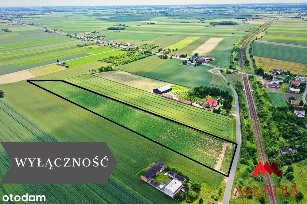 Na sprzedaż – Działki rolne w Gołaszewie