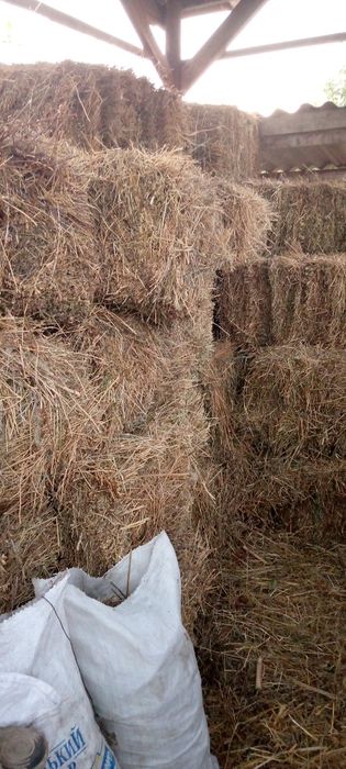 Продам тюки люцерки