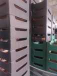 Karton na   40/30
