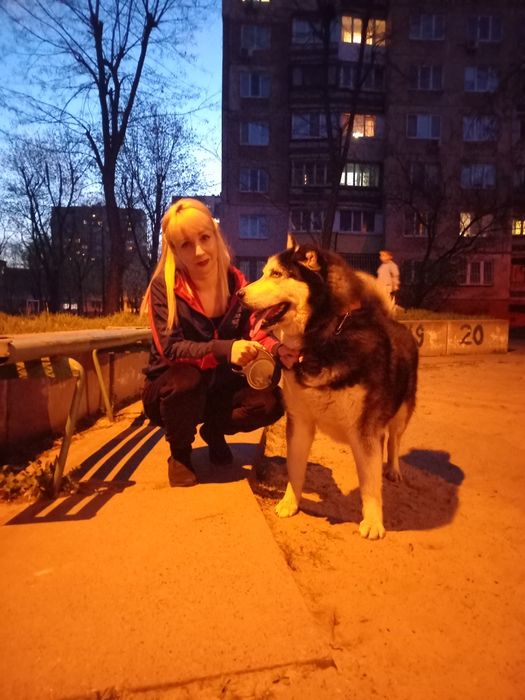 Перевезення тварин в Європу