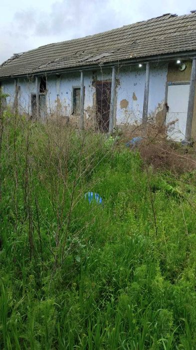 Продам дом в селе Матроска