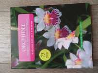Orchidee amatorska uprawa storczyków Kubala Kusibab Szlachetko