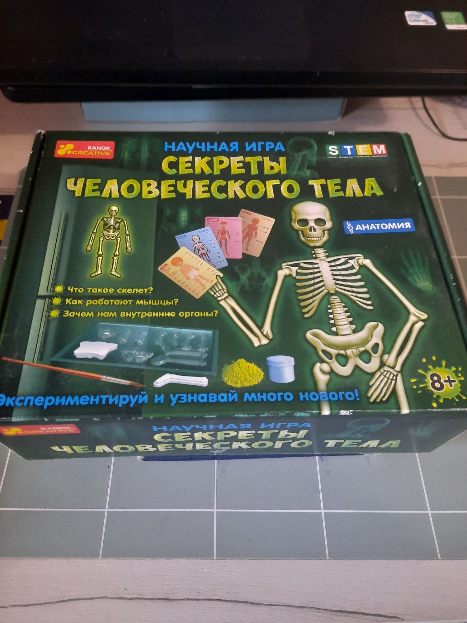 Научная игра Секреты человеческого тела Анатомия STEM Ranok-Creative