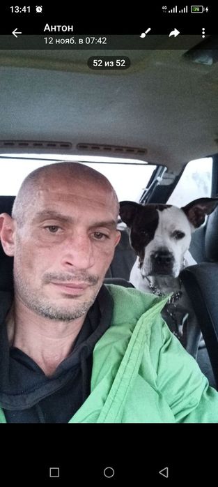 Пропала собака девочка