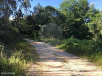 Terreno  para venda