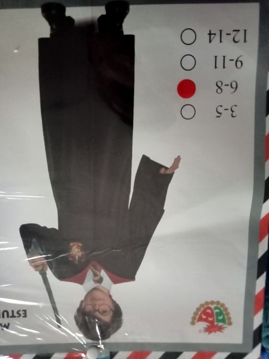 Disfarce carnaval Harry Potter