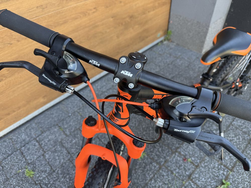 Rower KTM Wild Speed Disc 24