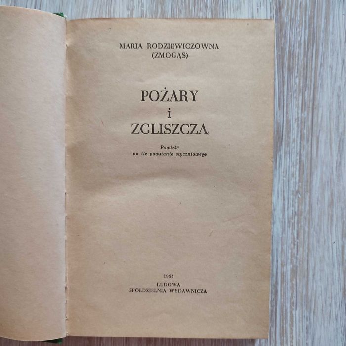 Pożary i zgliszcza - Maria Rodziewiczówna