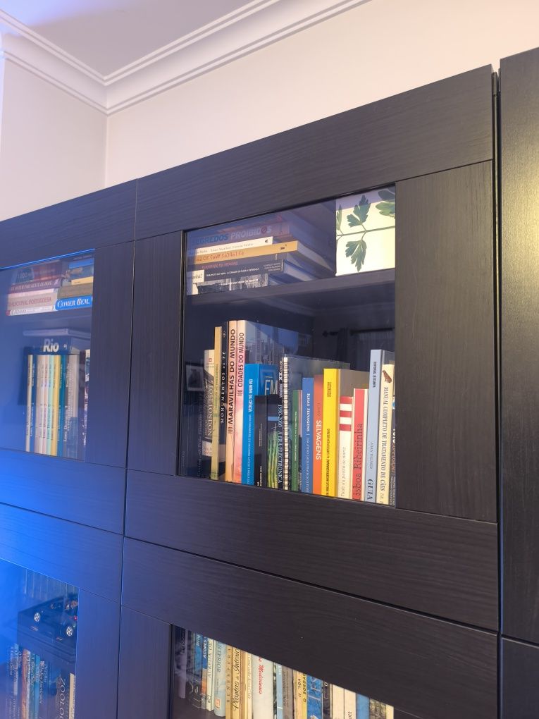 Portas Ikea Besta
