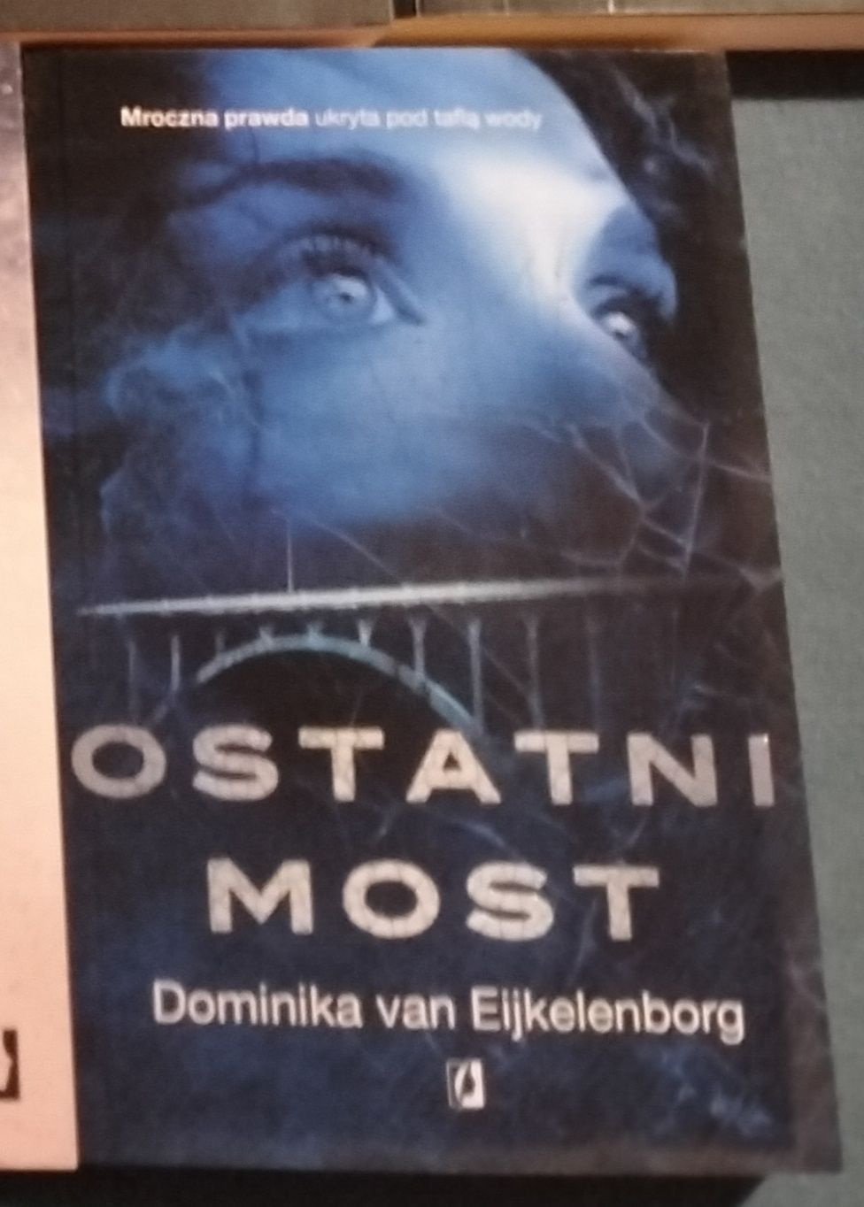 Dominika van Eijkelenborg Ostatni most