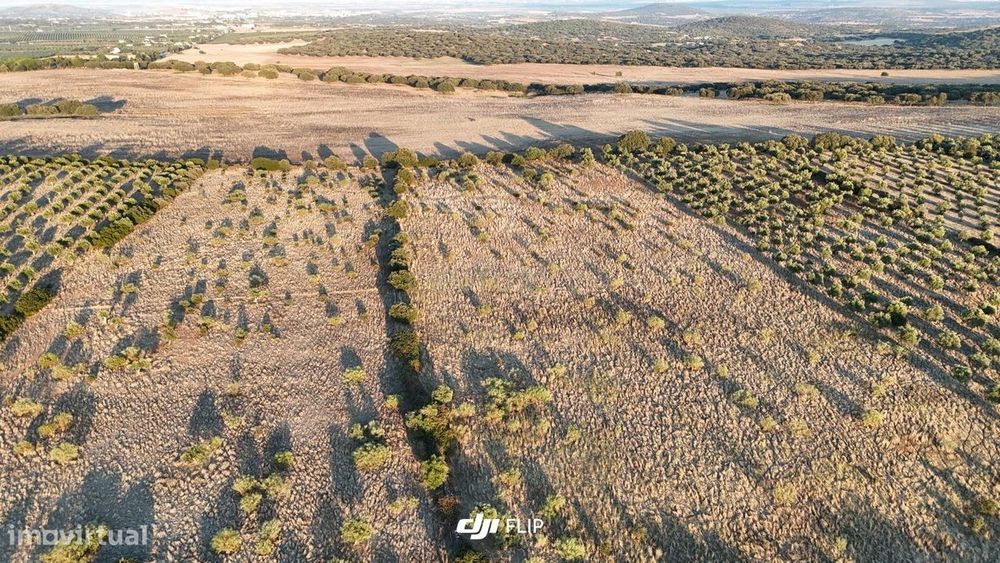 Terreno Rústico com 24.750 m² em Vila Boim, Elvas – Alentejo